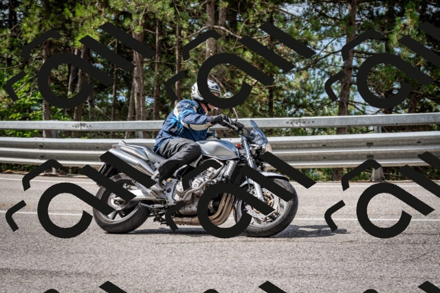 202508231054-DSC_6434_c2