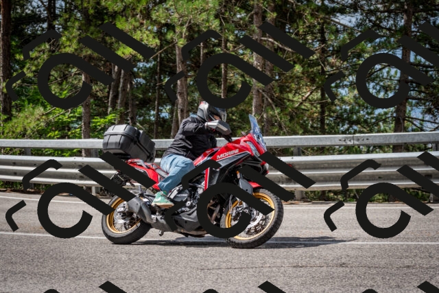 202508231054-DSC_6436_c2