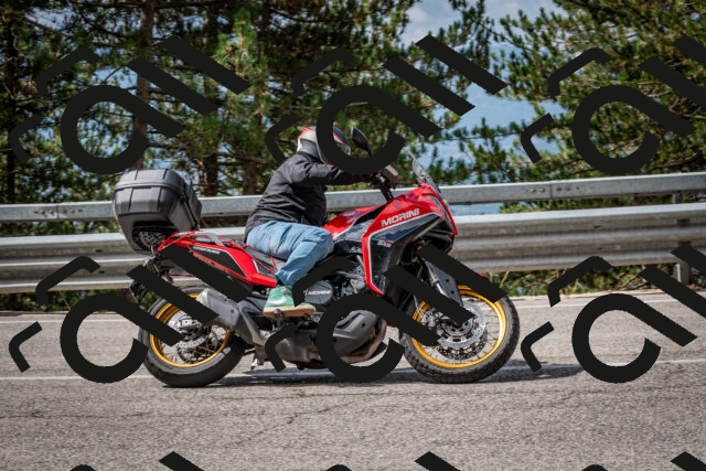 202508231054-DSC_6437_c2