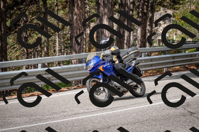 202508231055-DSC_6438_c2