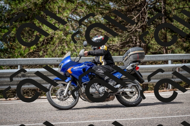 202508231055-DSC_6439_c2