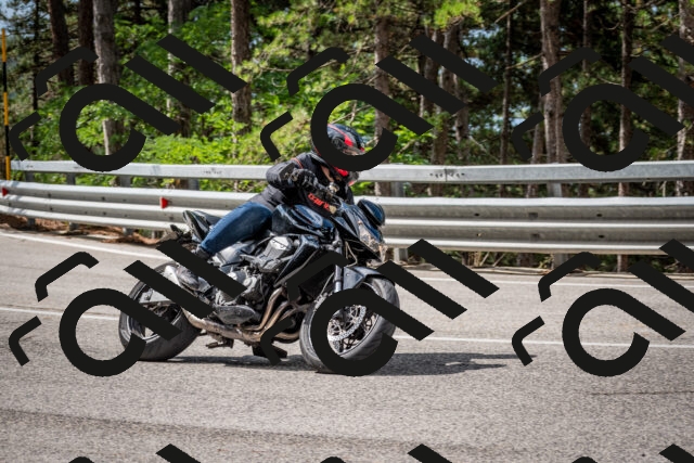 202508231055-DSC_6442_c2