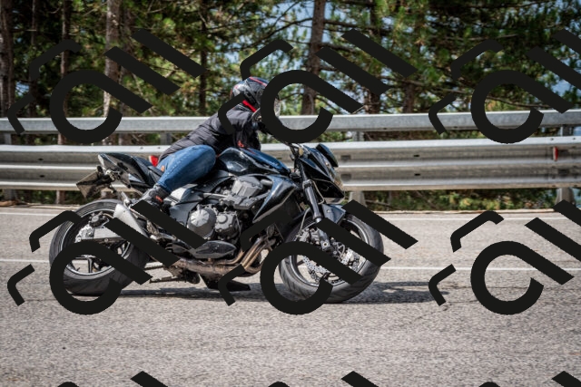 202508231055-DSC_6443_c2