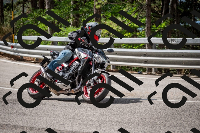 202508231055-DSC_6444_c2