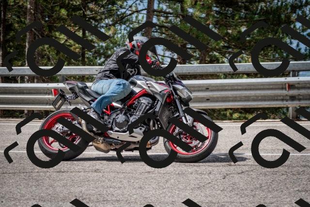 202508231055-DSC_6445_c2