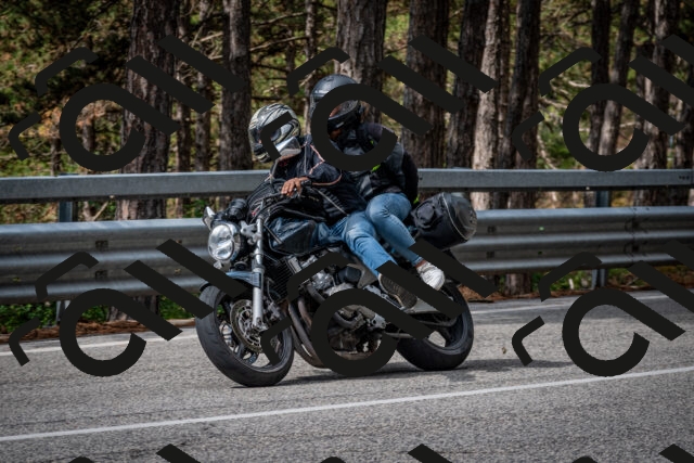 202508231100-DSC_6446_c2