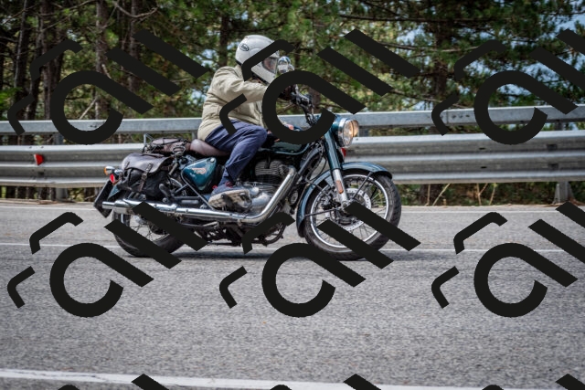 202508231100-DSC_6451_c2