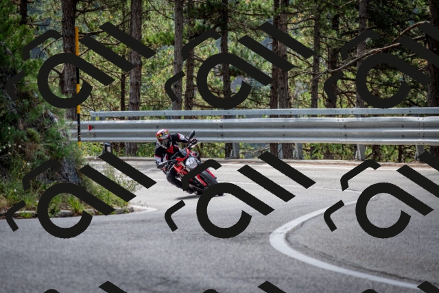 202508231100-DSC_6452_c2