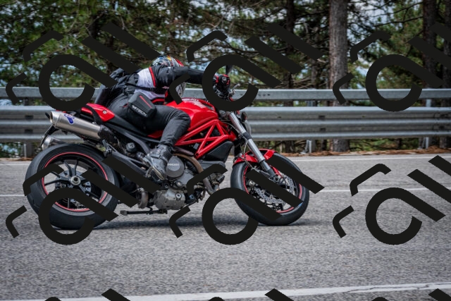 202508231100-DSC_6455_c2