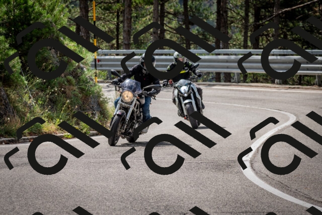 202508231101-DSC_6456_c2