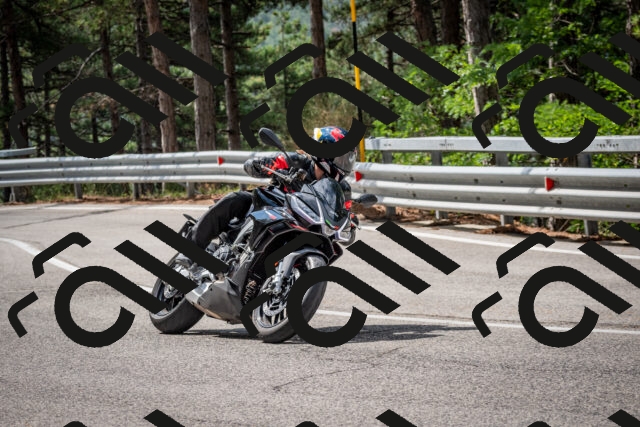 202508231103-DSC_6474_c2