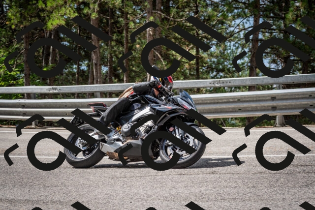 202508231103-DSC_6475_c2