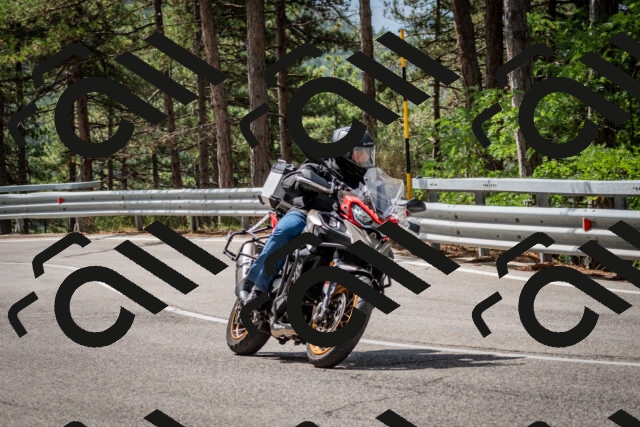 202508231106-DSC_6480_c2