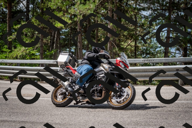 202508231106-DSC_6481_c2