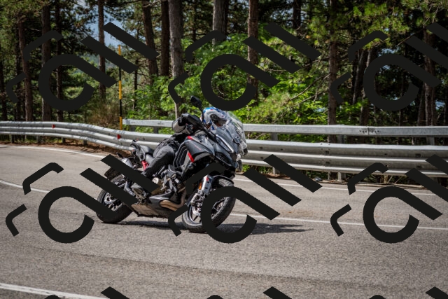 202508231106-DSC_6482_c2