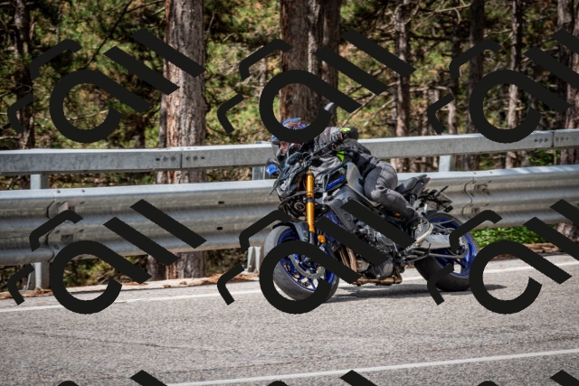 202508231106-DSC_6484_c2