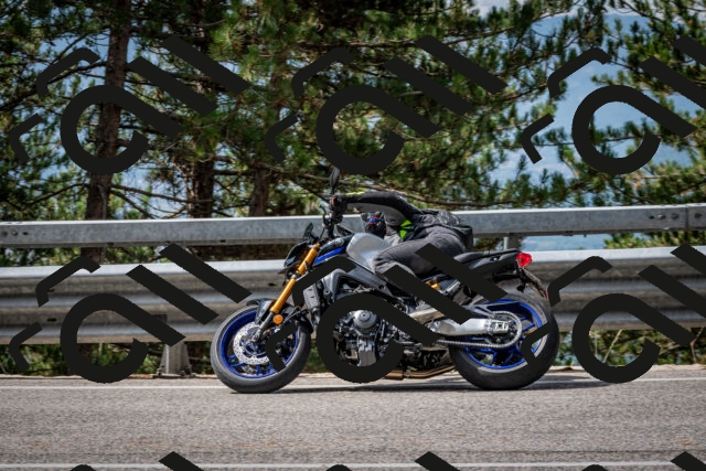 202508231106-DSC_6486_c2