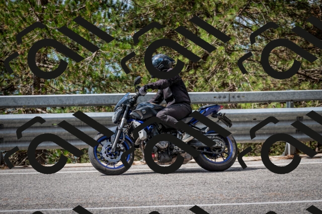 202508231106-DSC_6488_c2