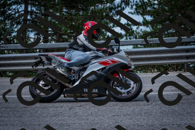 202508231114-DSC_6503_c2