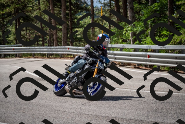 202508231116-DSC_6504_c2