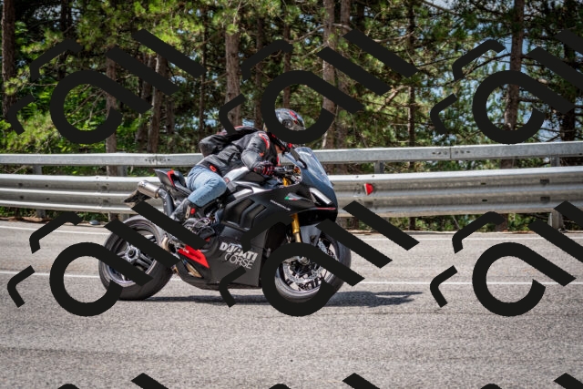 202508231122-DSC_6531_c2