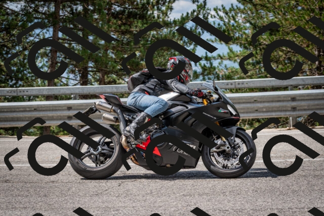 202508231122-DSC_6532_c2