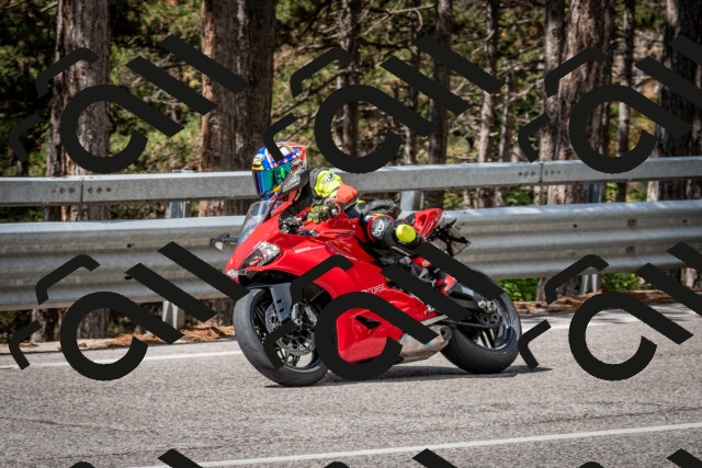 202508231122-DSC_6535_c2