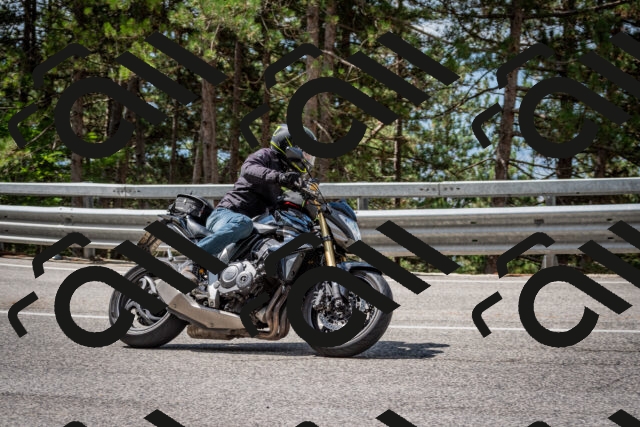 202508231127-DSC_6549_c2