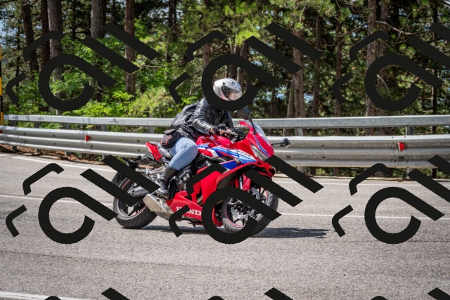 202508231127-DSC_6550_c2