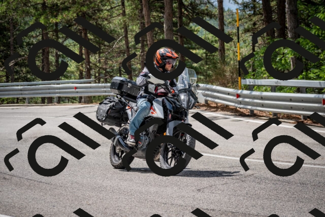 202508231132-DSC_6557_c2