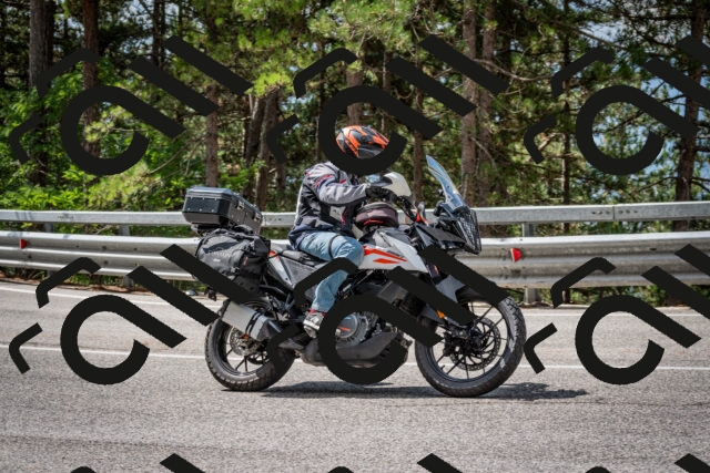 202508231132-DSC_6558_c2