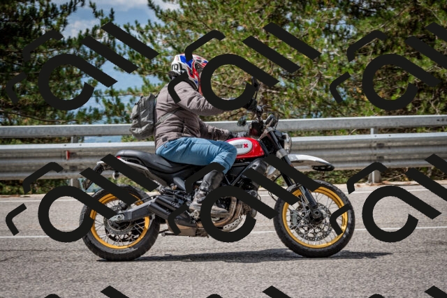 202508231135-DSC_6570_c2