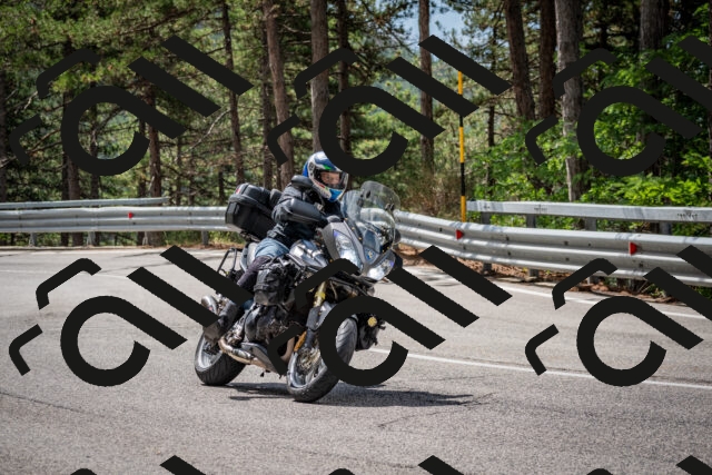 202508231135-DSC_6572_c2