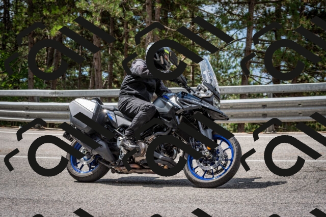 202508231135-DSC_6576_c2