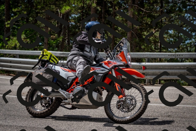 202508231135-DSC_6594_c2