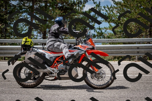 202508231135-DSC_6595_c2