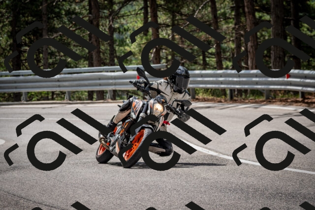 202508231136-DSC_6607_c2