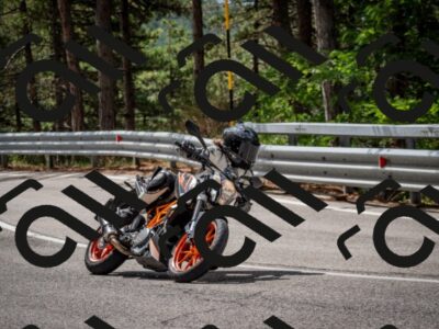 202508231136-DSC_6608_c2