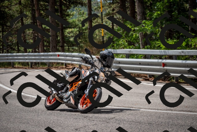 202508231136-DSC_6608_c2