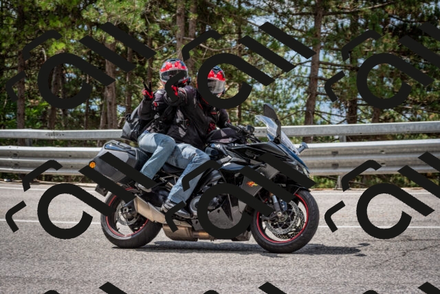 202508231136-DSC_6613_c2