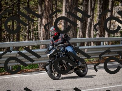 202508231137-DSC_6618_c2