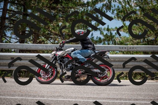 202508231137-DSC_6622_c2