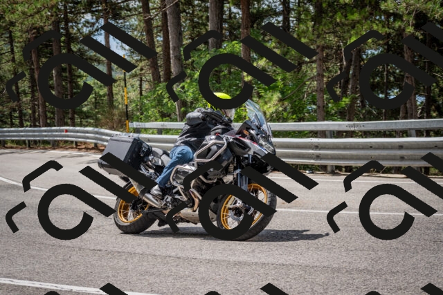 202508231138-DSC_6625_c2