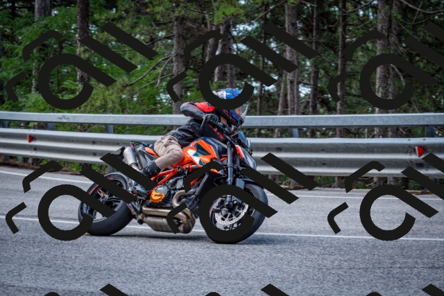 202508231145-DSC_6644_c2