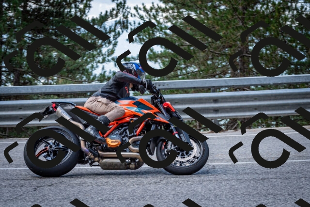 202508231145-DSC_6645_c2