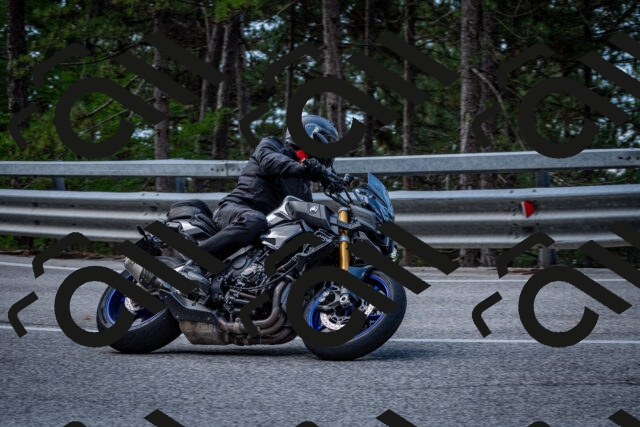 202508231145-DSC_6650_c2