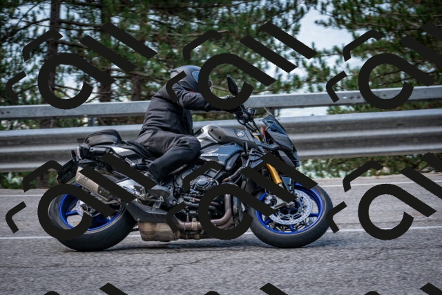 202508231145-DSC_6651_c2