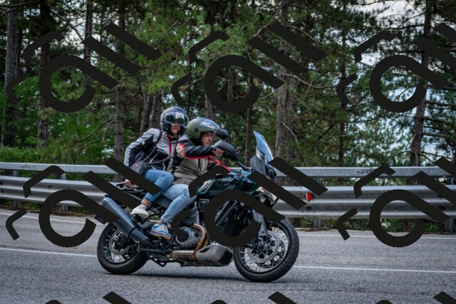 202508231150-DSC_6657_c2