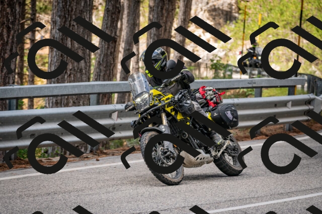 202508231151-DSC_6675_c2