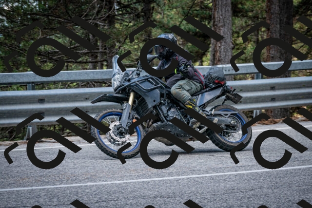 202508231151-DSC_6678_c2